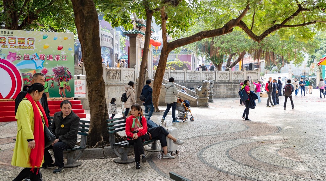 Barra Square showing a park and street scenes