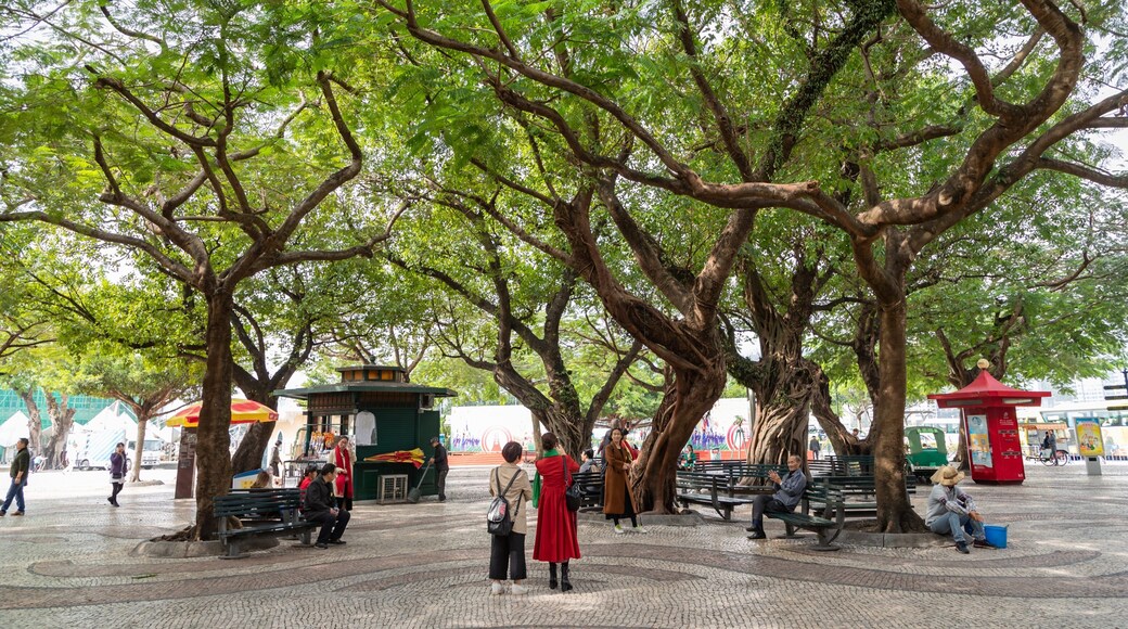 Barra Square featuring a square or plaza and a park as well as a couple