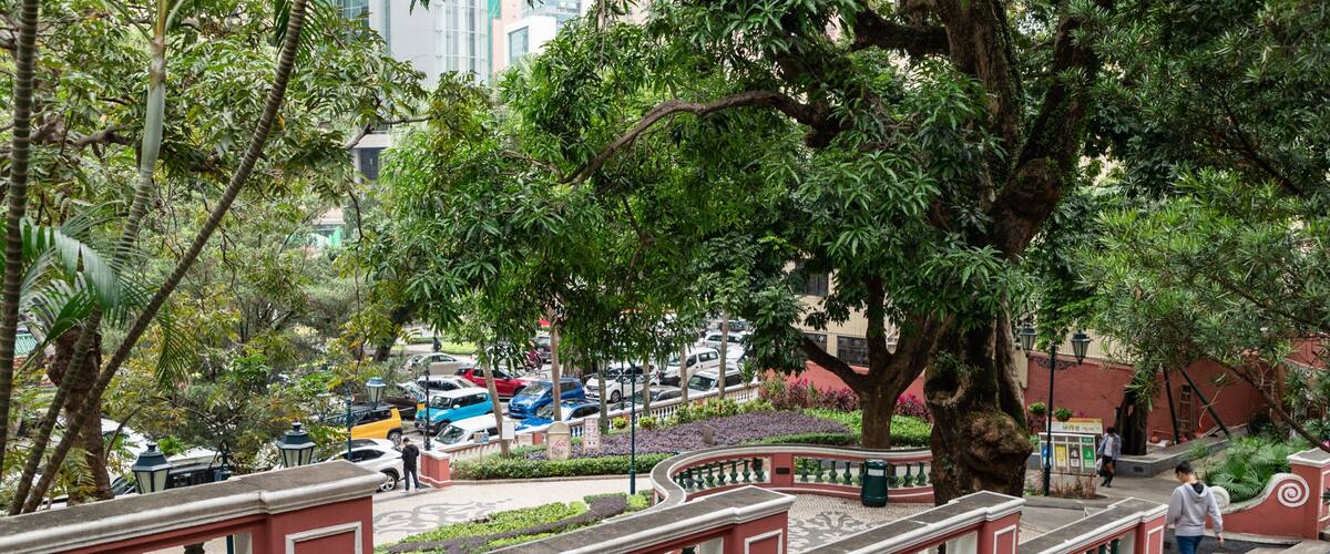 Jardim do Sao Francisco showing a garden
