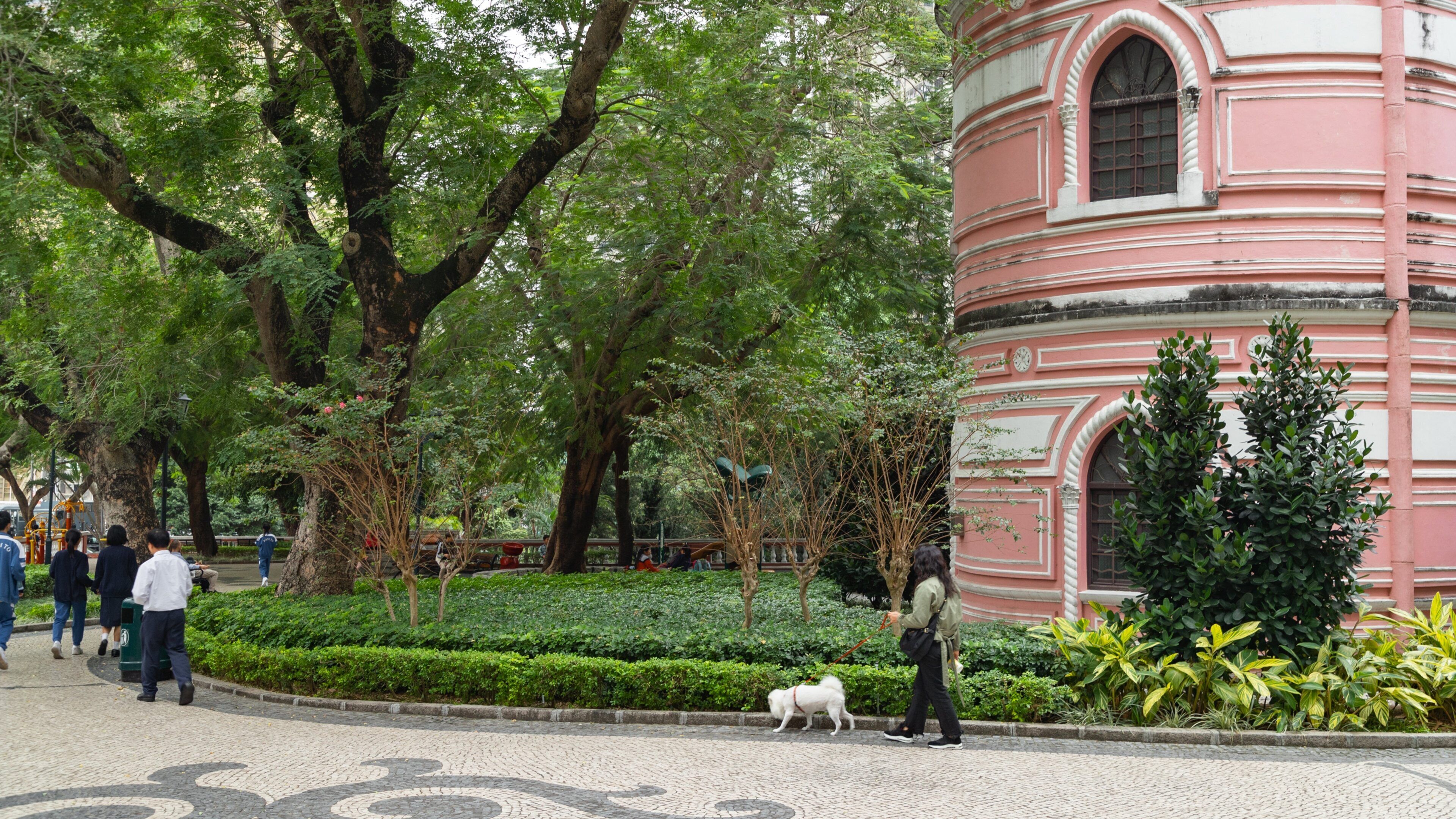 Jardim do Sao Francisco featuring a garden