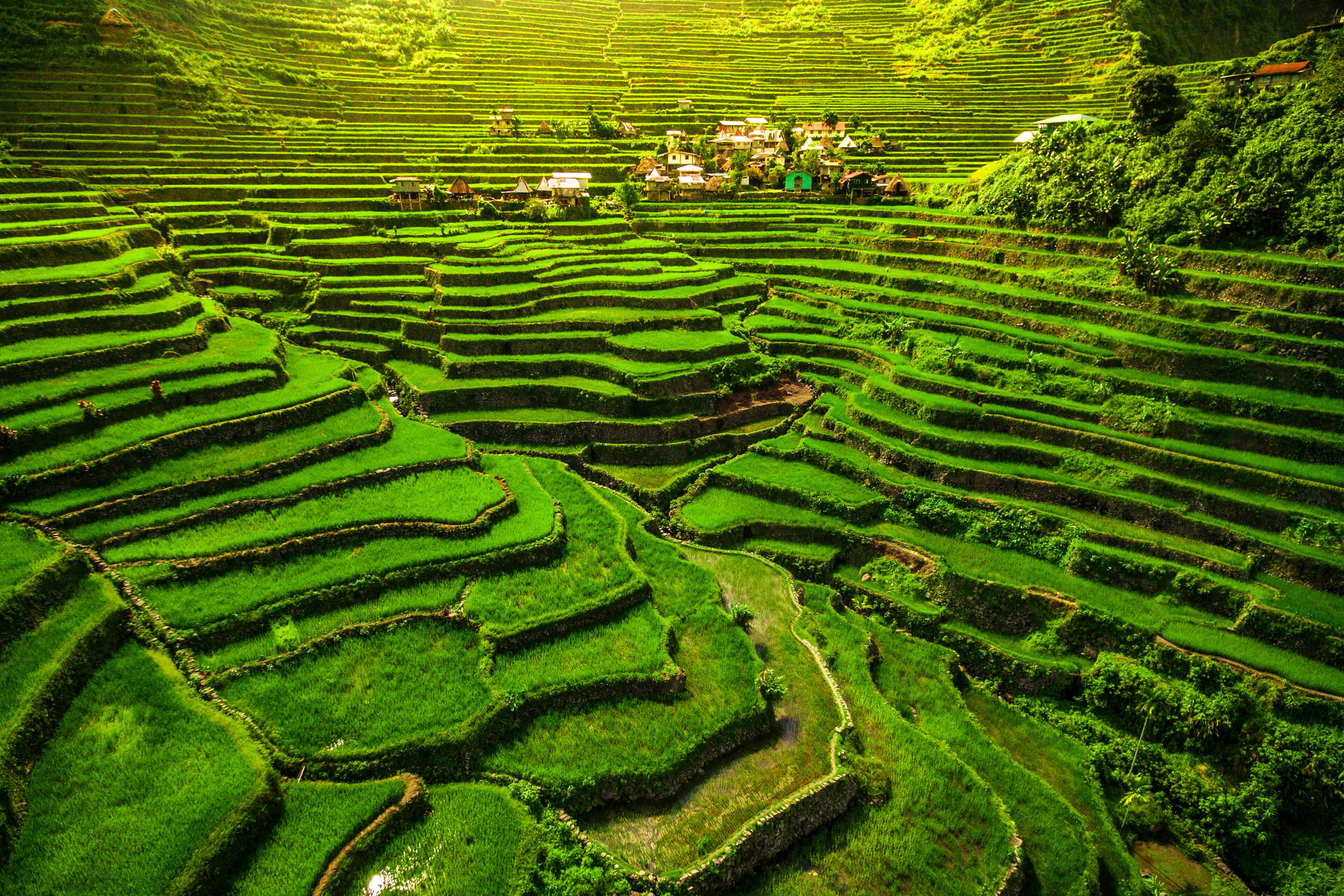Batad Rice Terraces in Northern Luzon, Philippines.