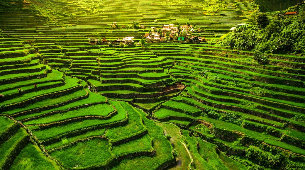 Banaue