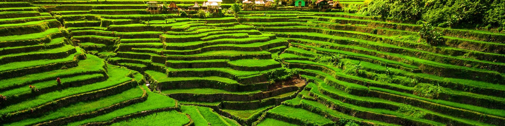 Batad Rice Terraces in Northern Luzon, Philippines.