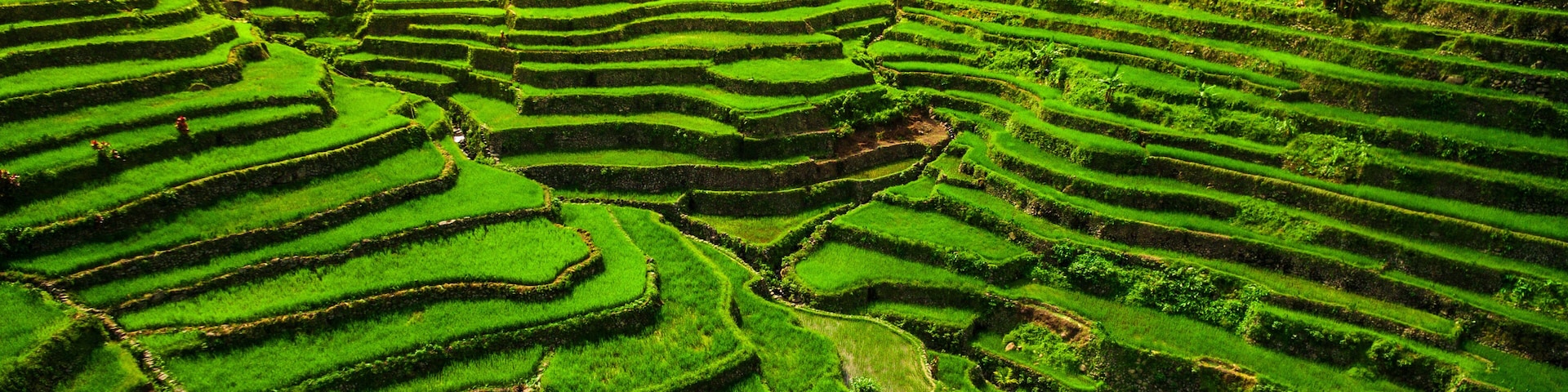 Batad Rice Terraces in Northern Luzon, Philippines.