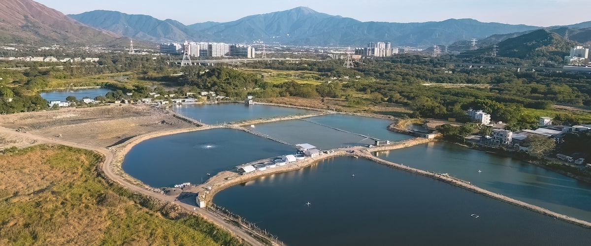 6 Jan 2023 Shan Pui Fish Pond, Nam Sang Wai, hong kong