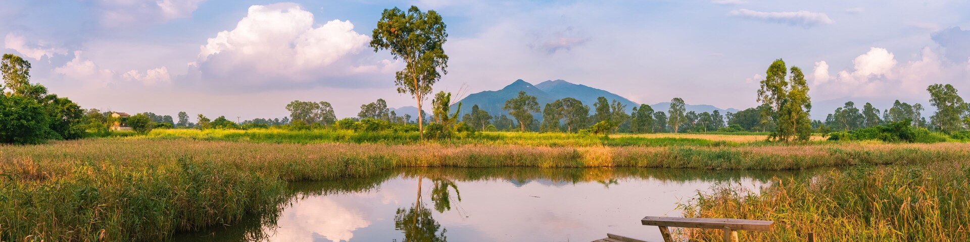 Beautiful Mirror reflection lake and old wooden fishing Jetty in Nam Sang Wai, Yuen Long, New Territories, Hong Kong, China