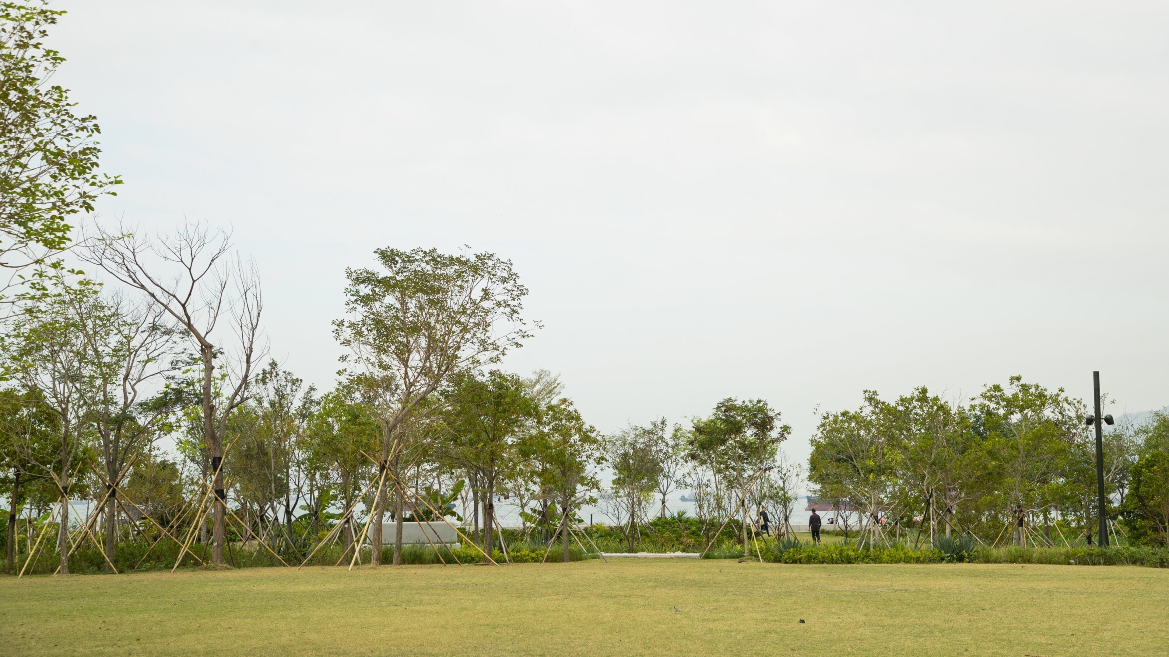 Kowloon West Promenade showing a garden