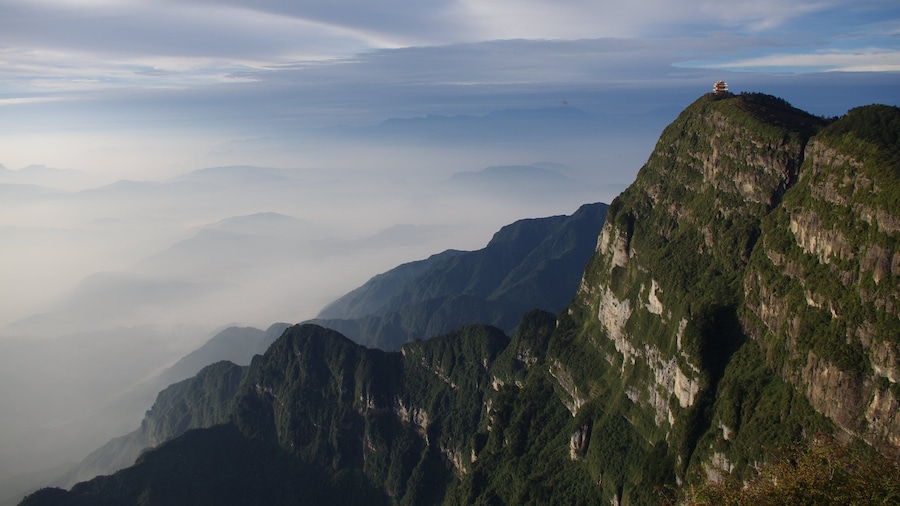 Ecologische Theetuin Emeishan Zhuyeqing