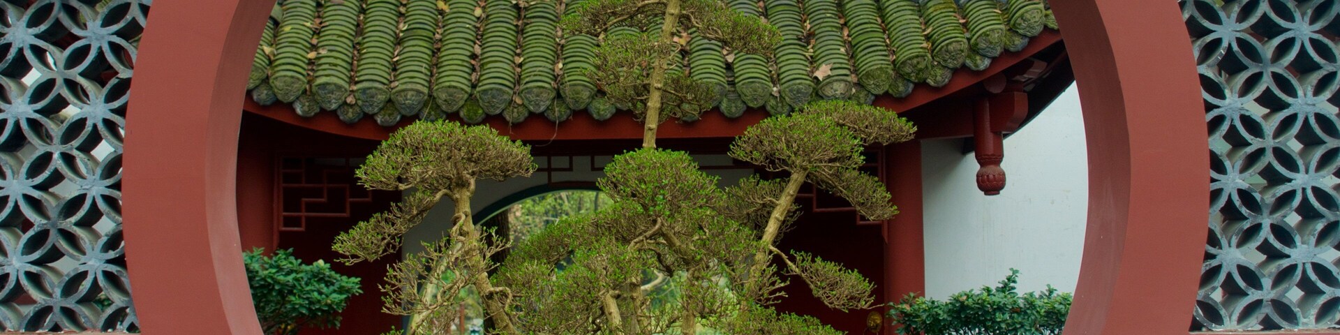 Una puerta tradicional china con elaboradas tejas en el techo y un marco circular.