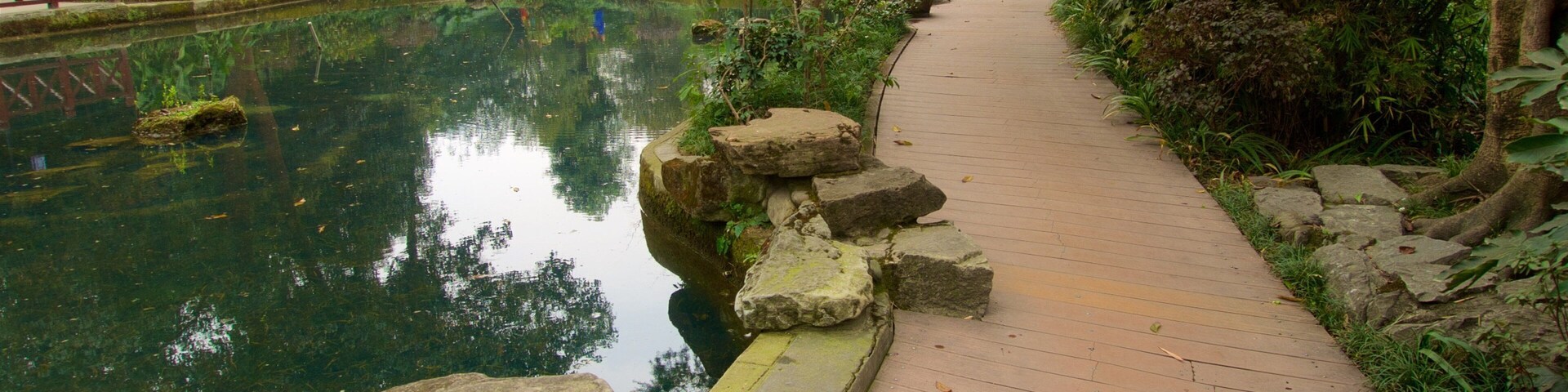 Un muelle de madera junto a un estanque con rocas y follaje.
