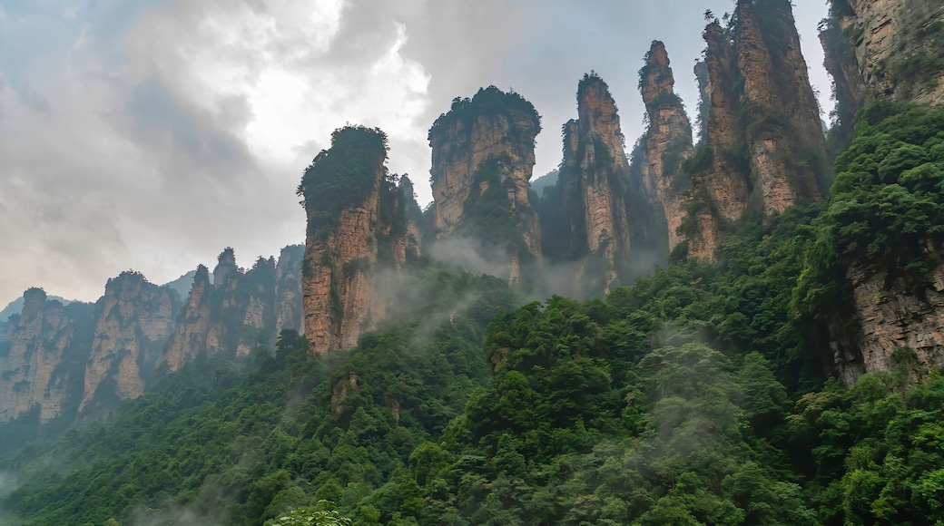 Vũ Lăng Nguyên
