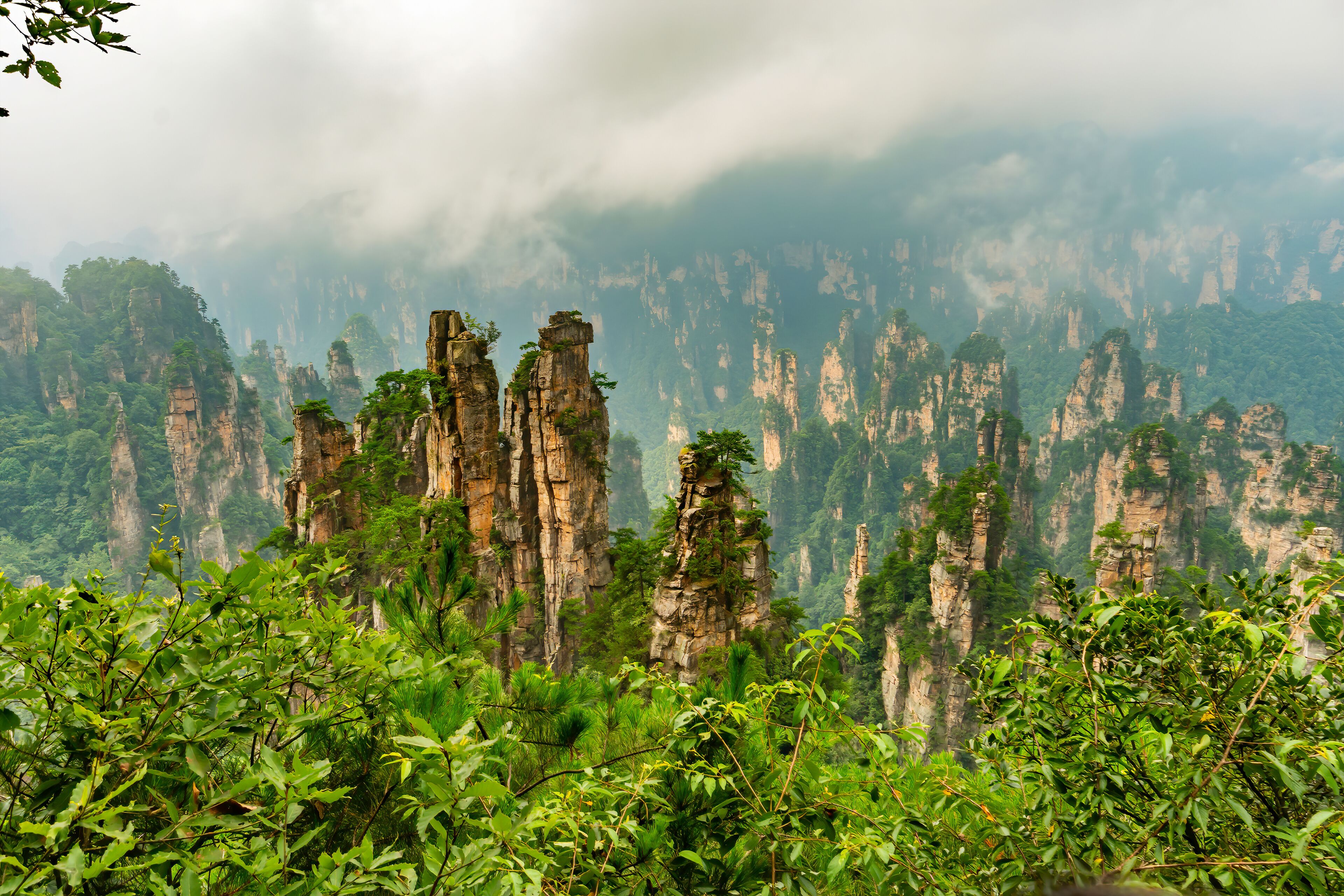 Vũ Lăng Nguyên