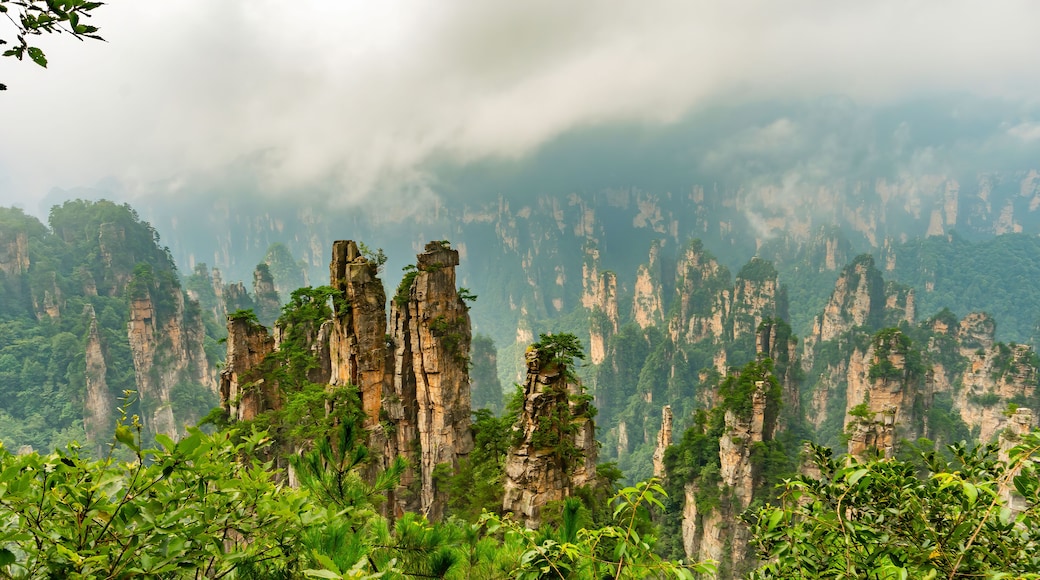 Vũ Lăng Nguyên