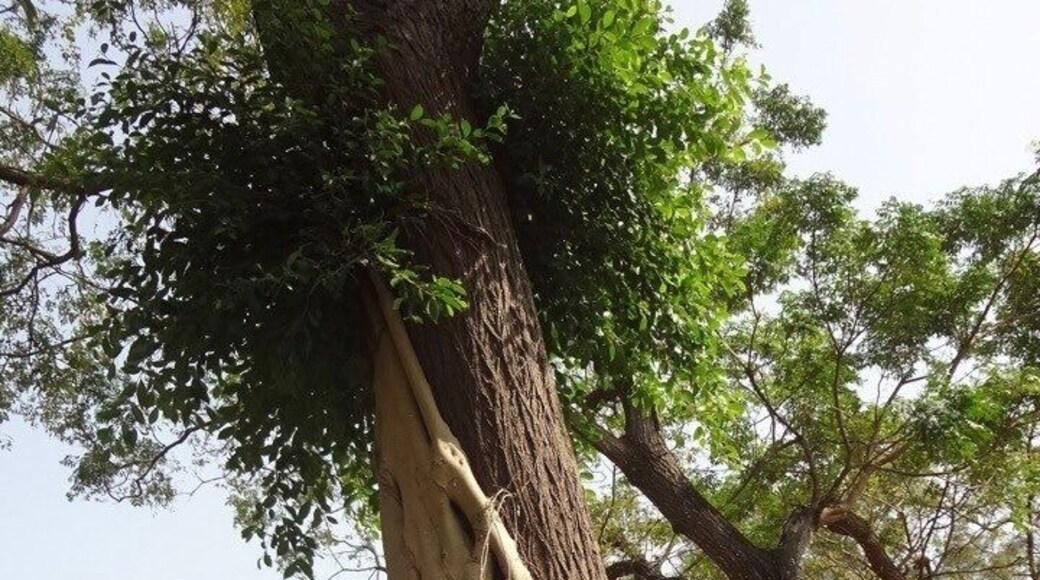 The castle was built in 1874 and completed on 1876 by the famous Qing official Shen Baozhen in order to safeguard the coast and to defend the island against Japanese invasions.