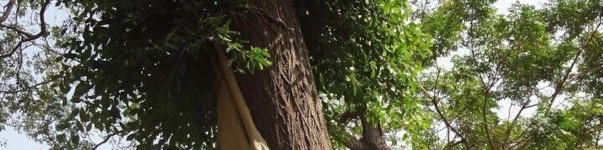 The castle was built in 1874 and completed on 1876 by the famous Qing official Shen Baozhen in order to safeguard the coast and to defend the island against Japanese invasions.