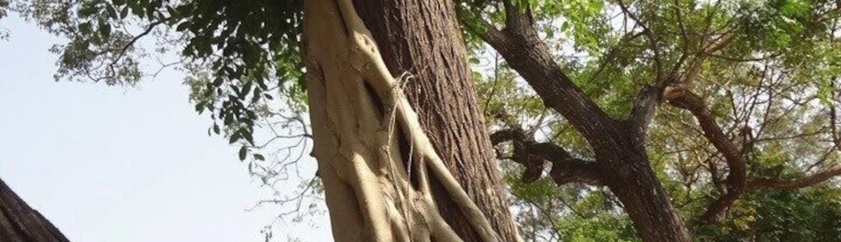 The castle was built in 1874 and completed on 1876 by the famous Qing official Shen Baozhen in order to safeguard the coast and to defend the island against Japanese invasions.