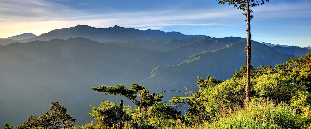 Mount Ali Sunrise with a tree and mountain; Shutterstock ID 145672613; purchase_order: SF 06557000; job: ; client: ; other: