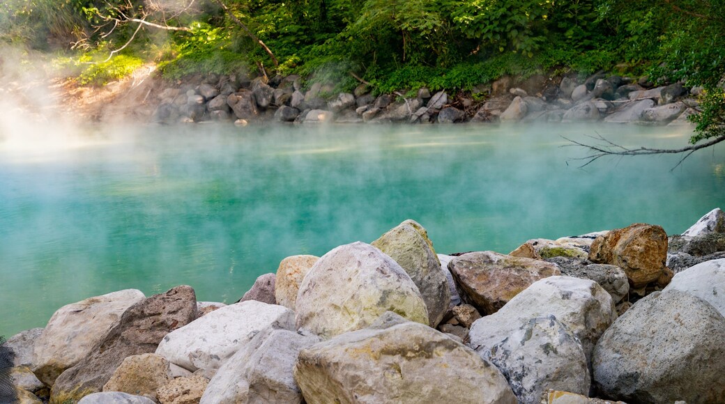 Beitou Thermal Valley which includes mist or fog and a hot spring