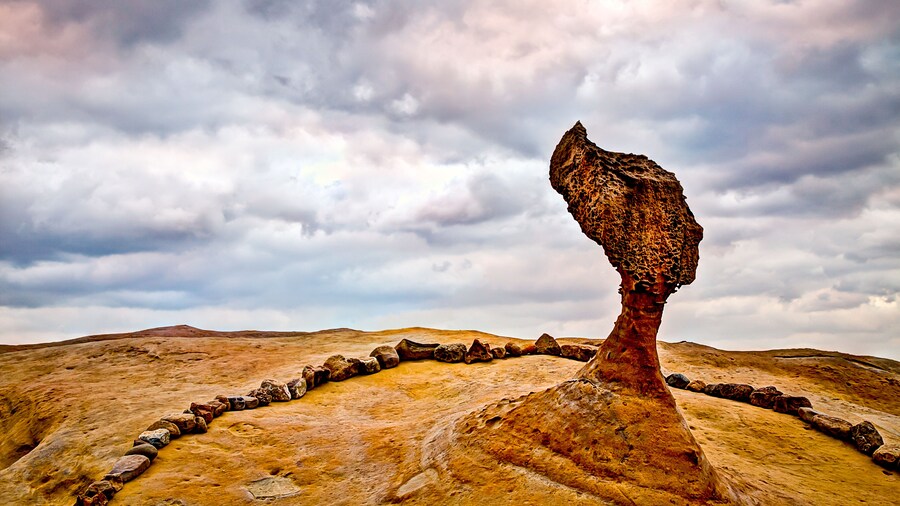 Queen's Head at Taipei; Shutterstock ID 796978648; purchase_order: SF 06557000; job: ; client: ; other: