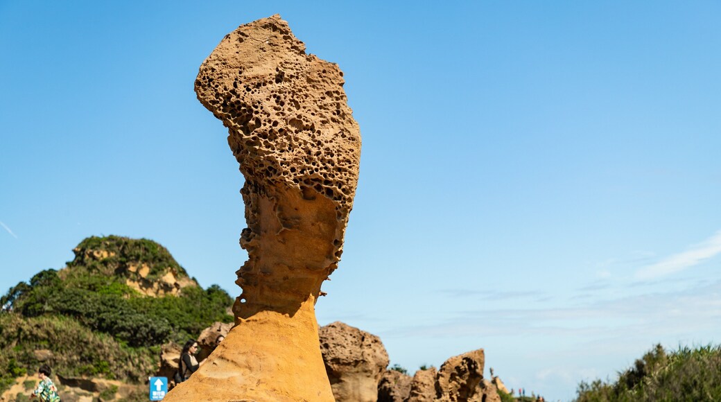 Queen\'s Head featuring rugged coastline