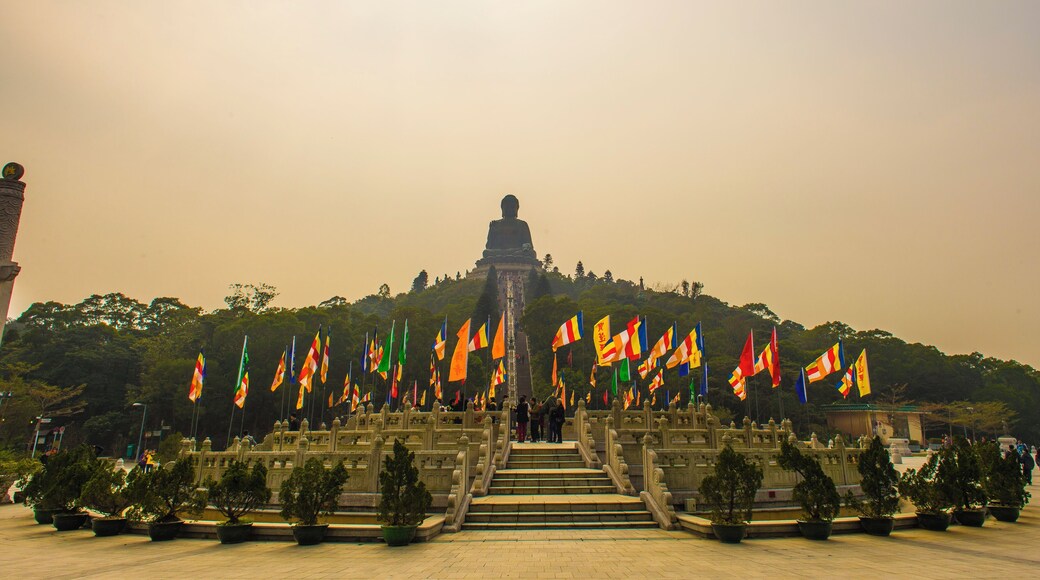 Hong Kong SEO Uploads