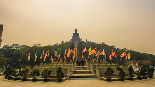 Hong Kong SEO Uploads