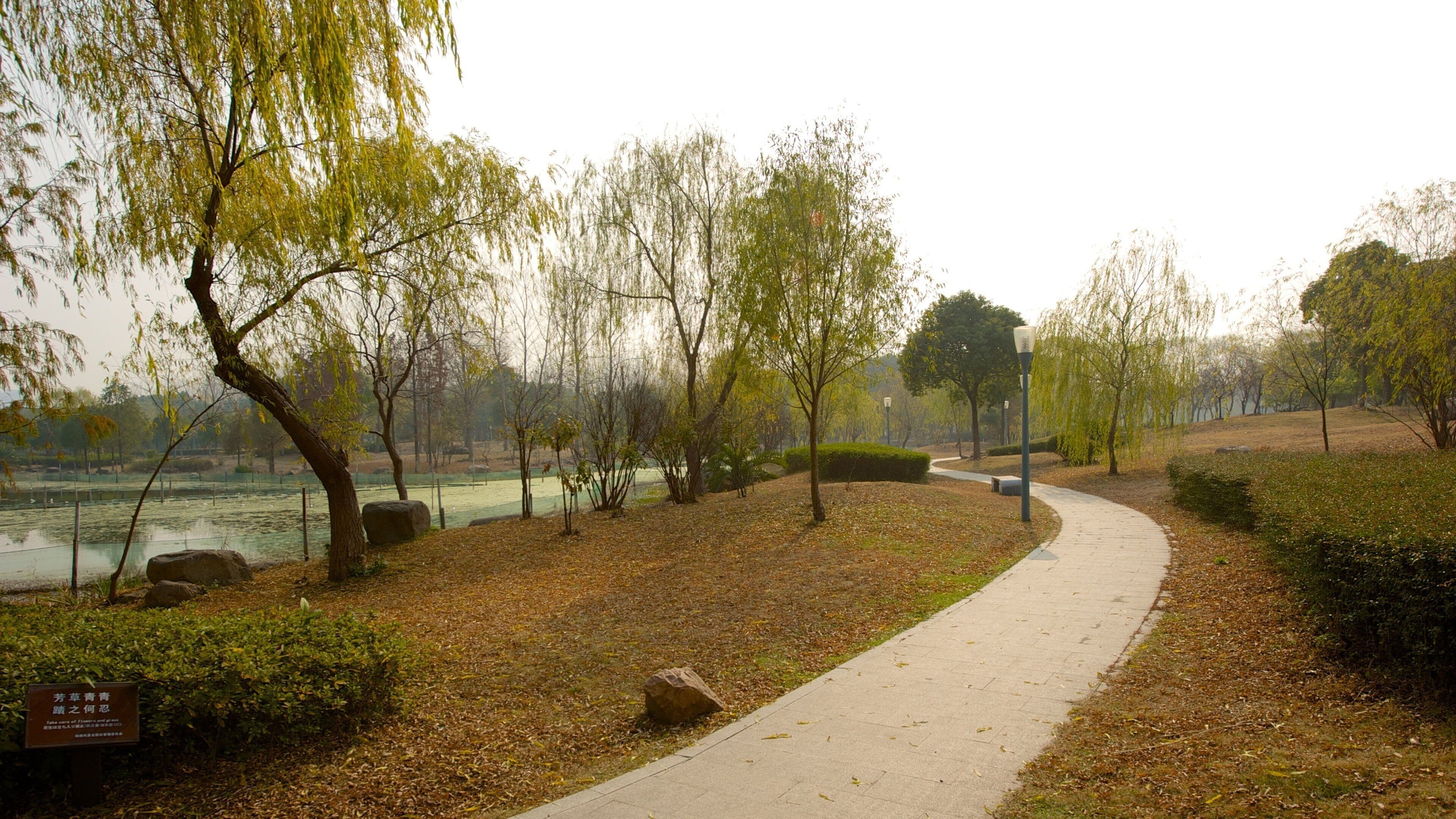Jiaxing mostrando um parque