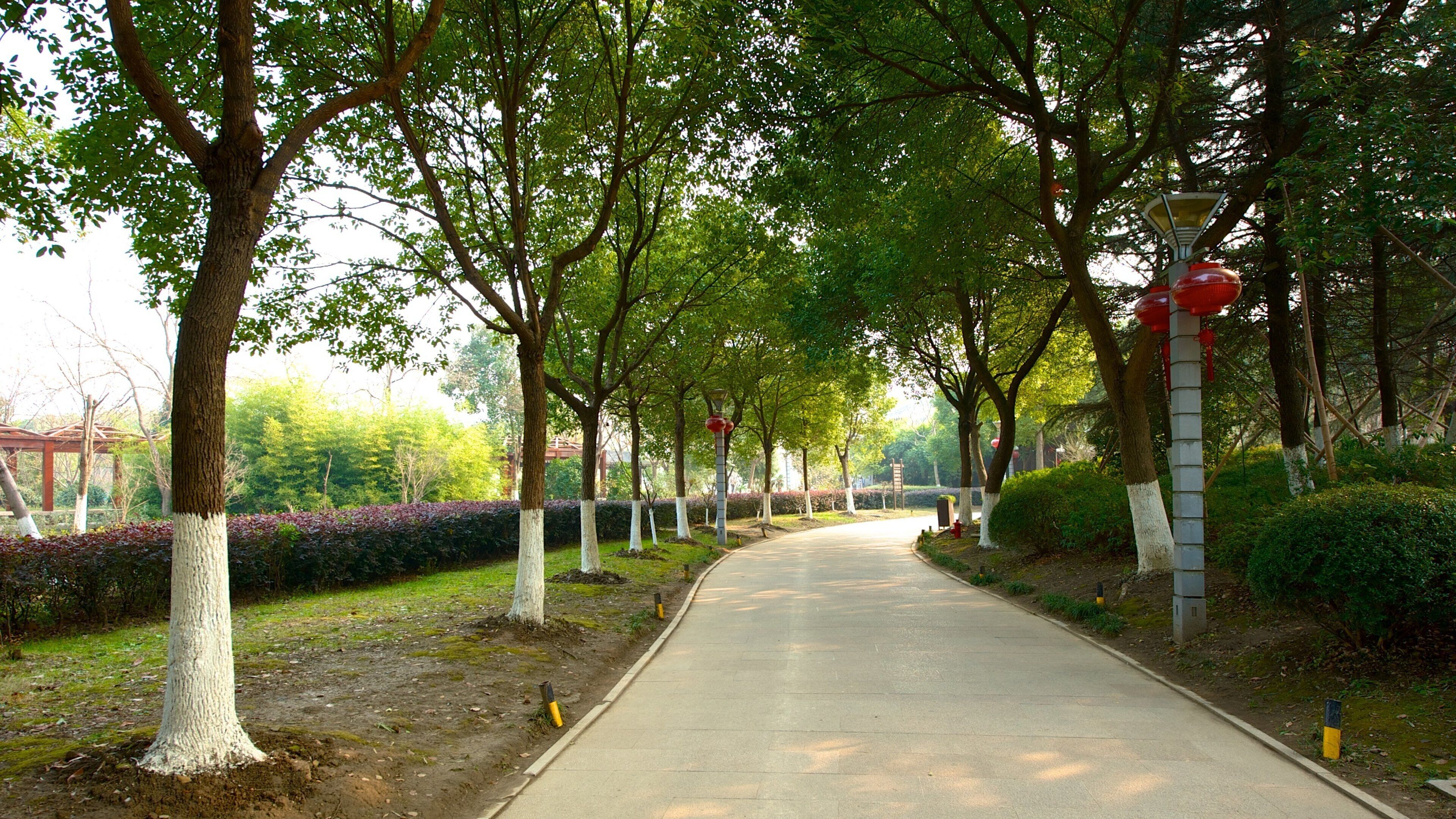 Jiaxing mostrando un jardín