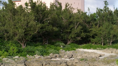 Un château doté d’une tour, entouré d’arbres et bordé par un plan d’eau.