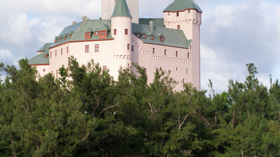A castle with a tower, surrounded by trees and a body of water.