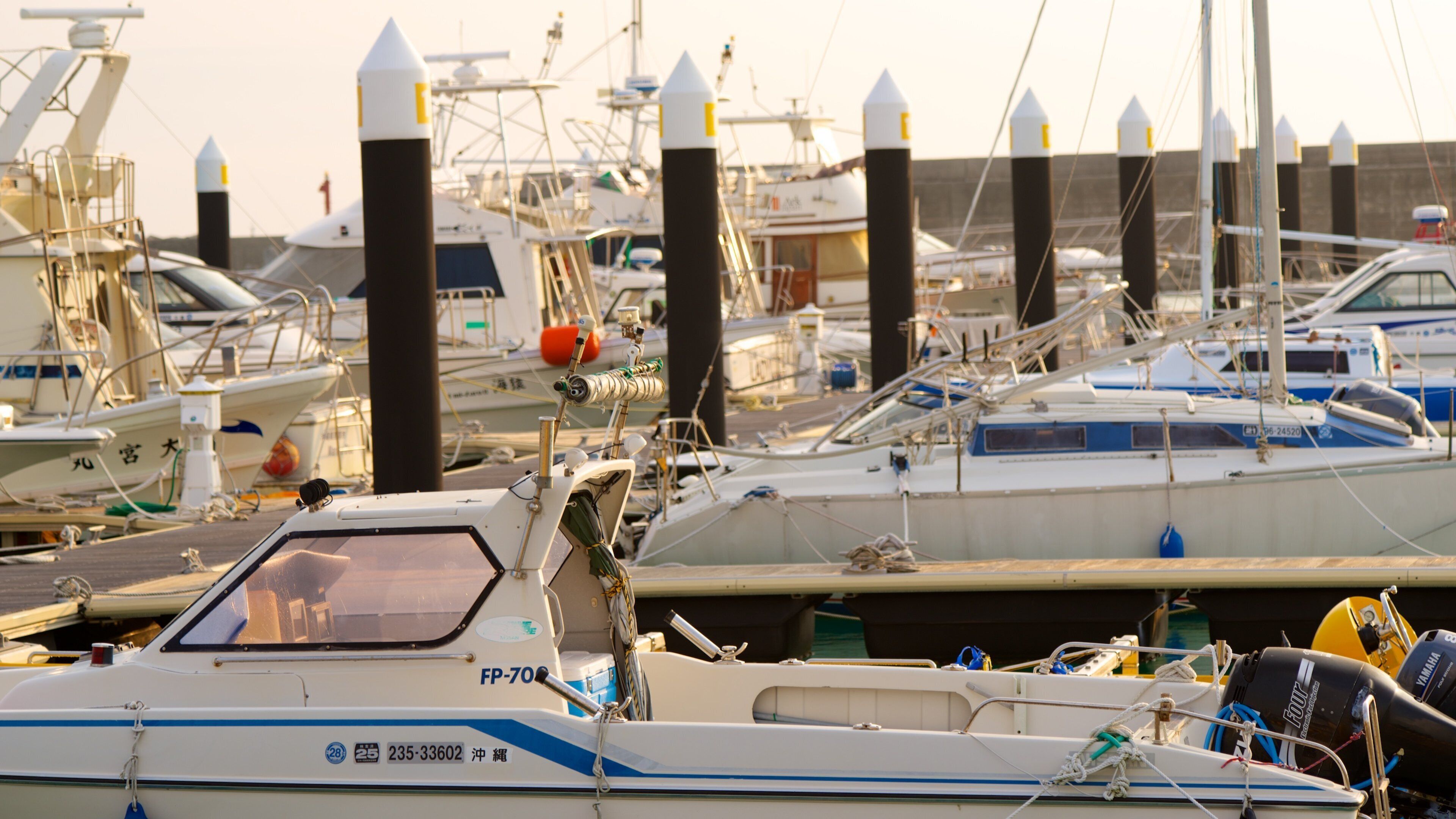 Okinawa featuring a marina
