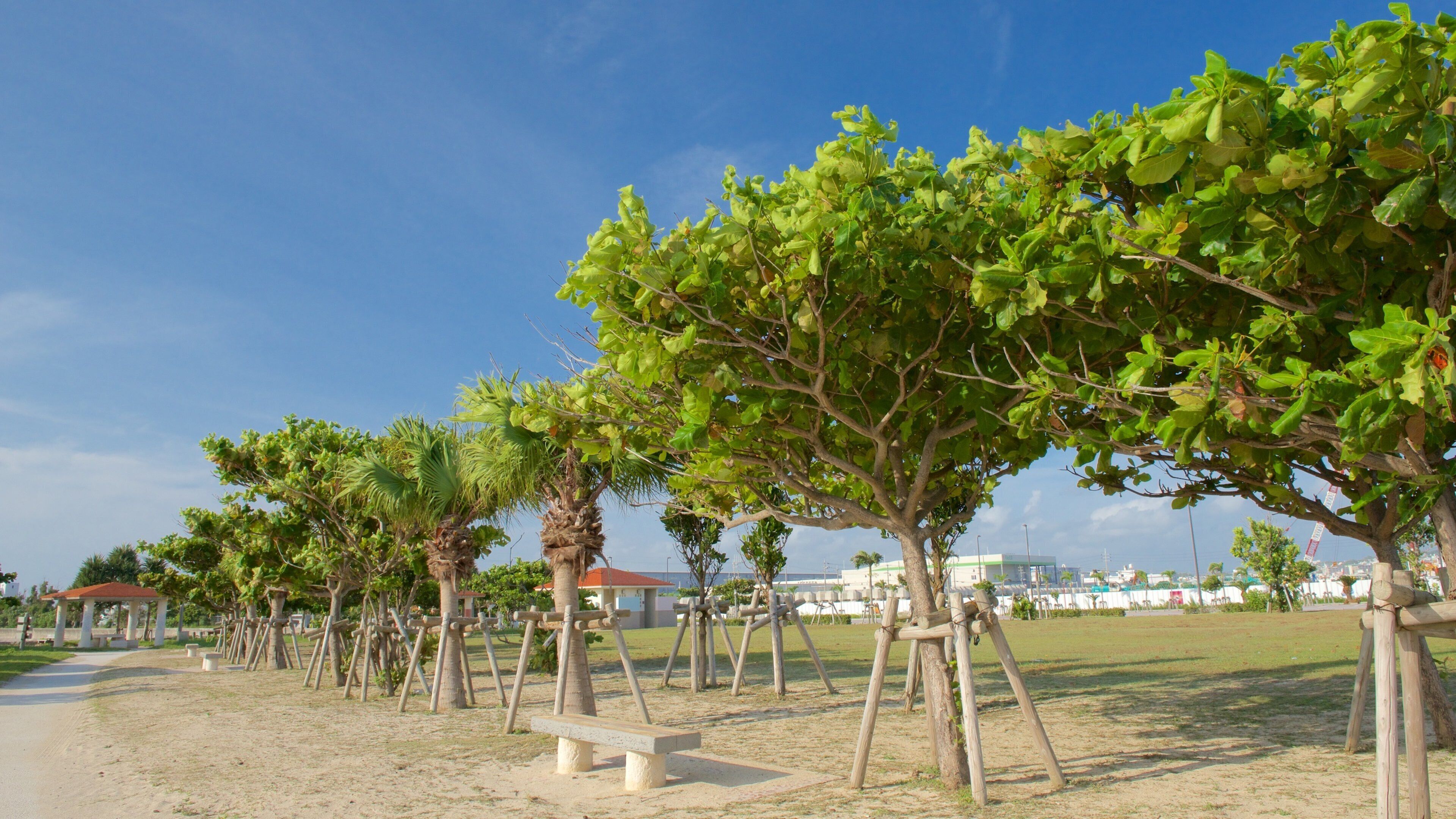 Okinawa som inkluderer kyst og kystby