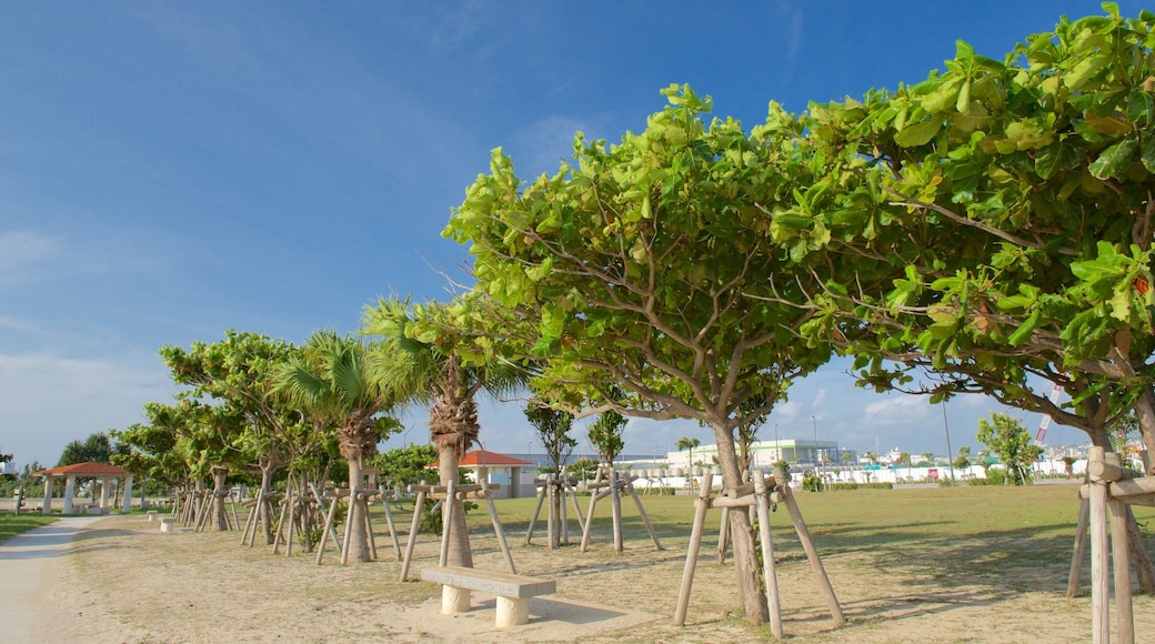 Okinawa joka esittÀÀ yleiset rantanÀkymÀt ja rannikkokaupunki