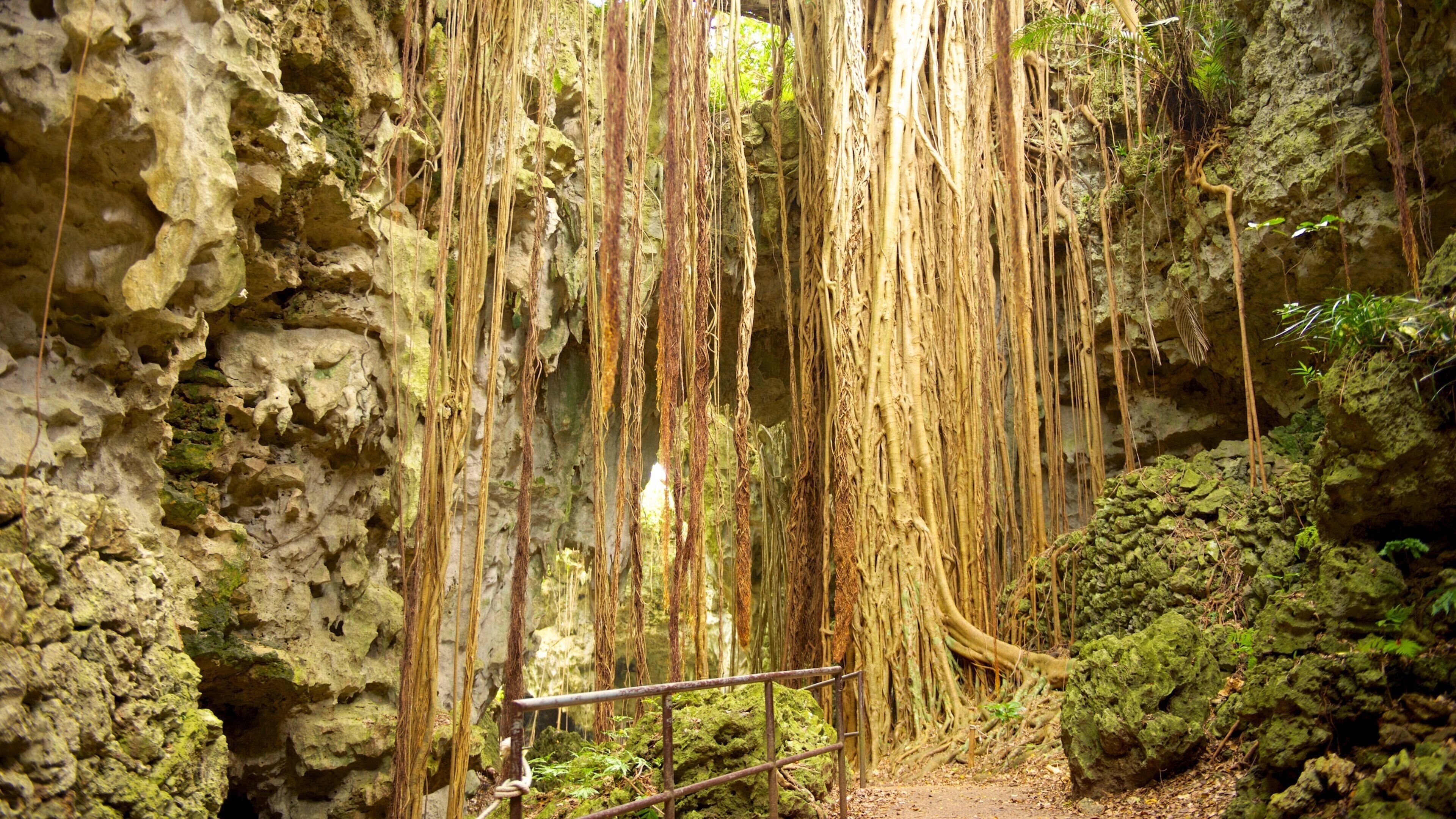 Valley of Gangala featuring caves