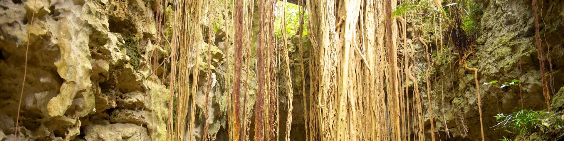 Valley of Gangala featuring caves