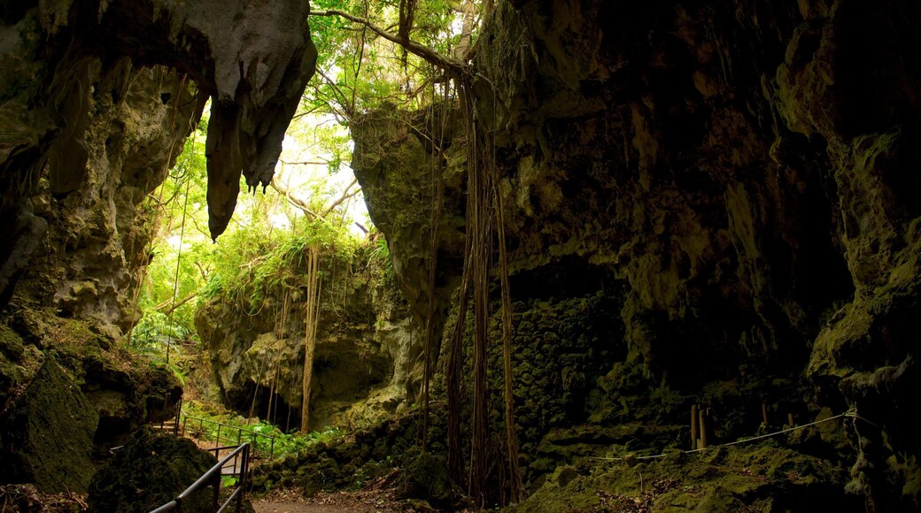 Okinawa toont grotten