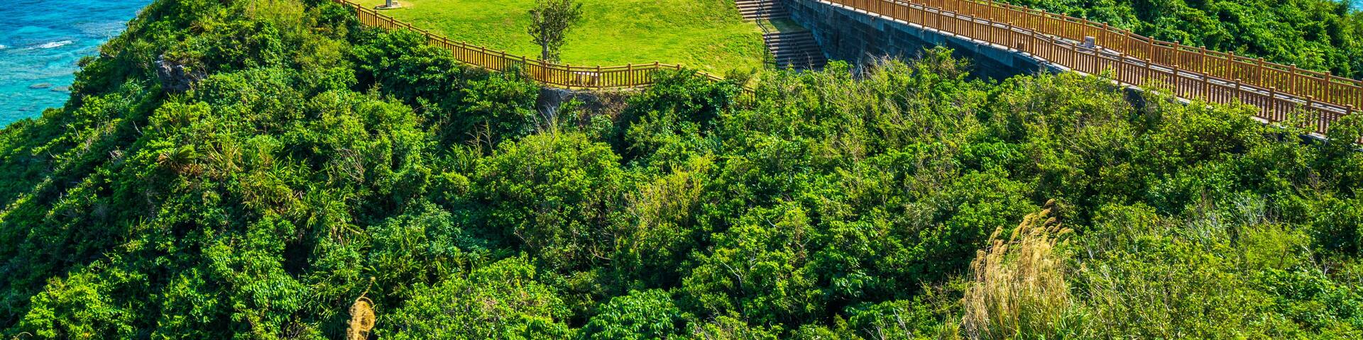 A coastal landscape with a grassy area, a wooden fence, and a clear view of the ocean.