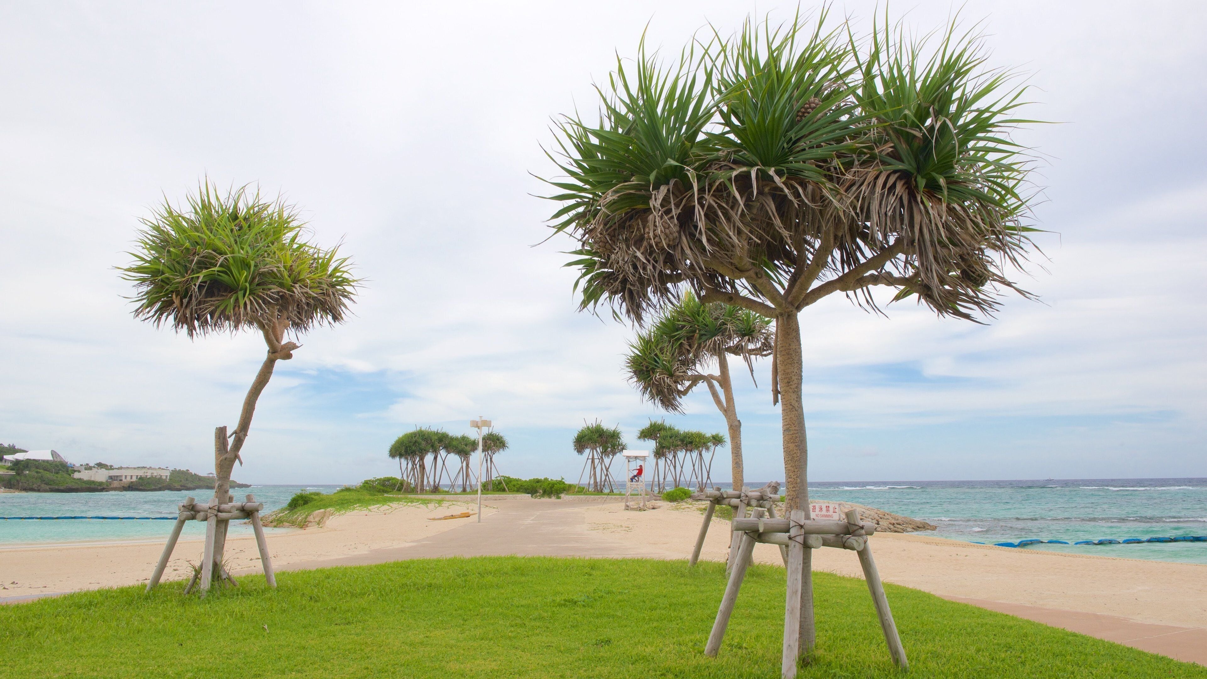 Emerald Beach welches beinhaltet Strand und allgemeine Küstenansicht