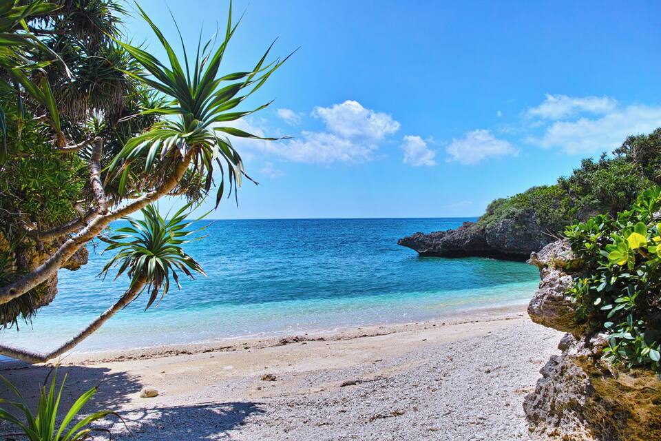 A tropical beach with clear turquoise water, a sandy shore, and lush greenery.