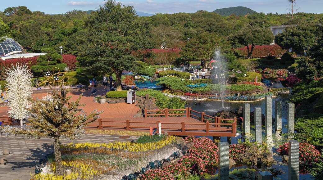 Castell de Vidre de Jeju