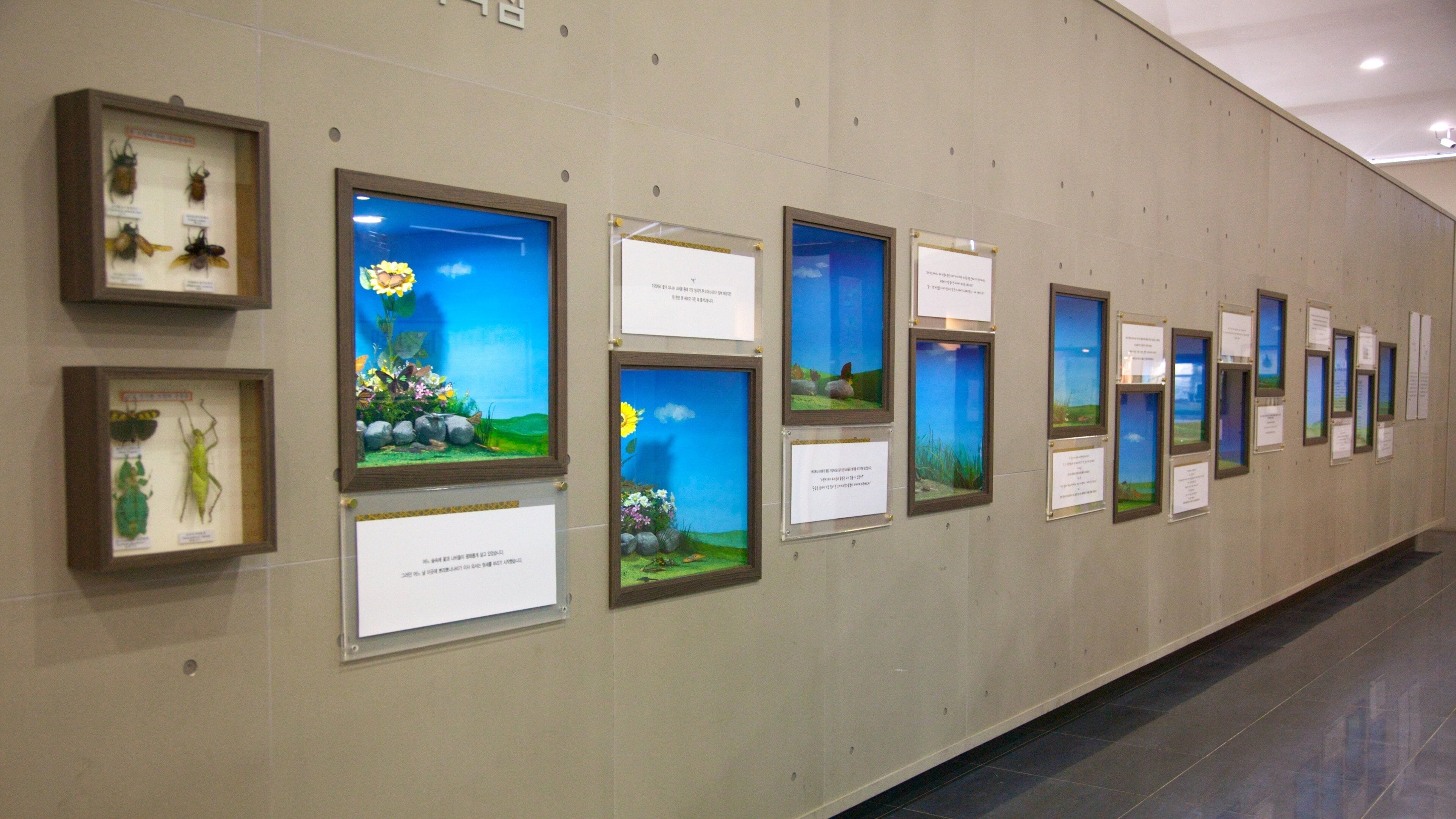 濟州島 设有 內部景觀