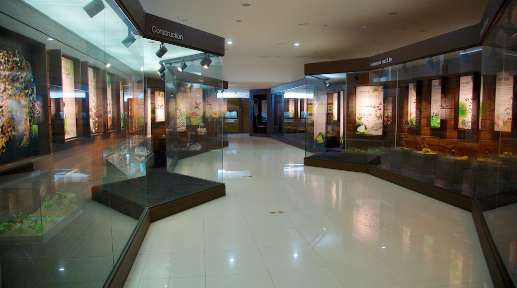 제주도 을 특징 실내 전경