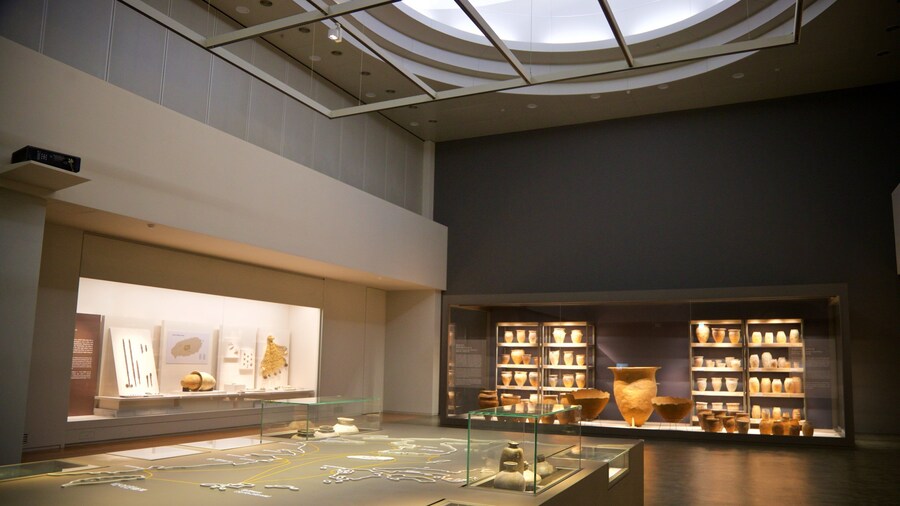 Jeju National Museum featuring interior views