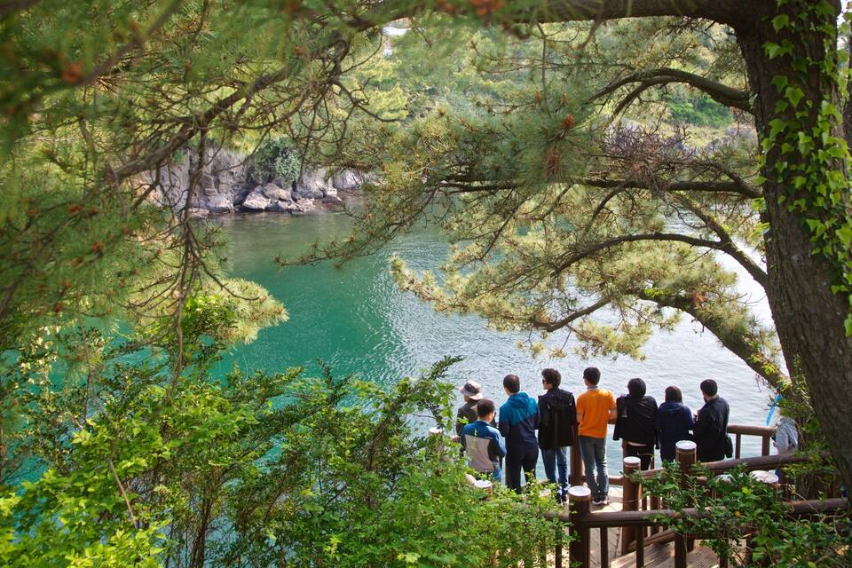 A group of people standing on a wooden deck overlooking a turquoise lake surrounded by trees.