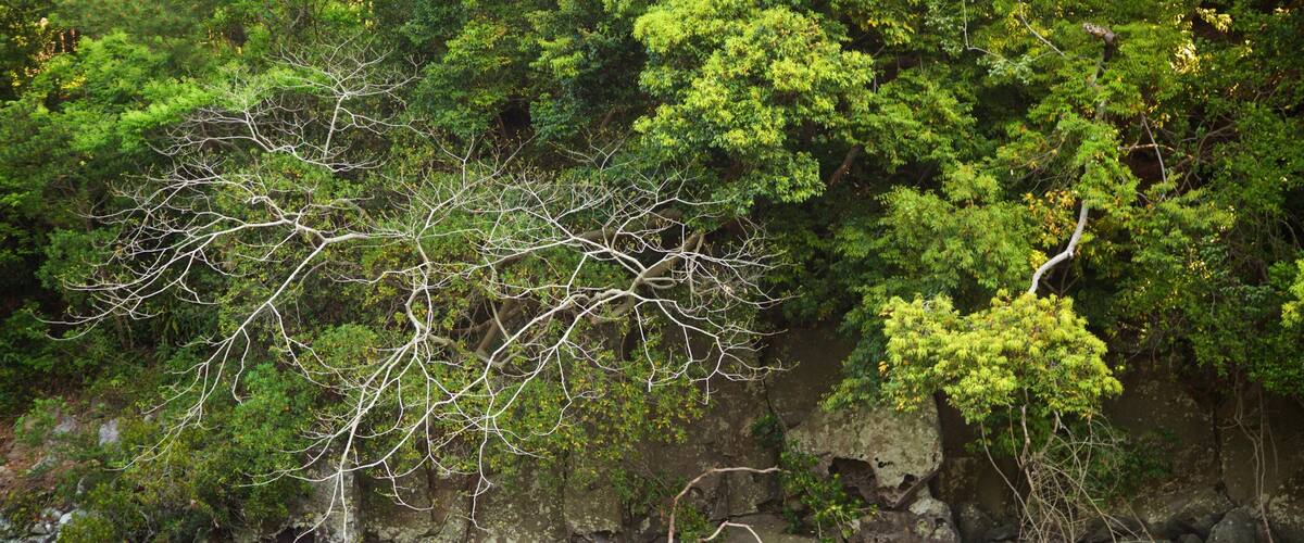 Soesokkak Estuary featuring a river or creek