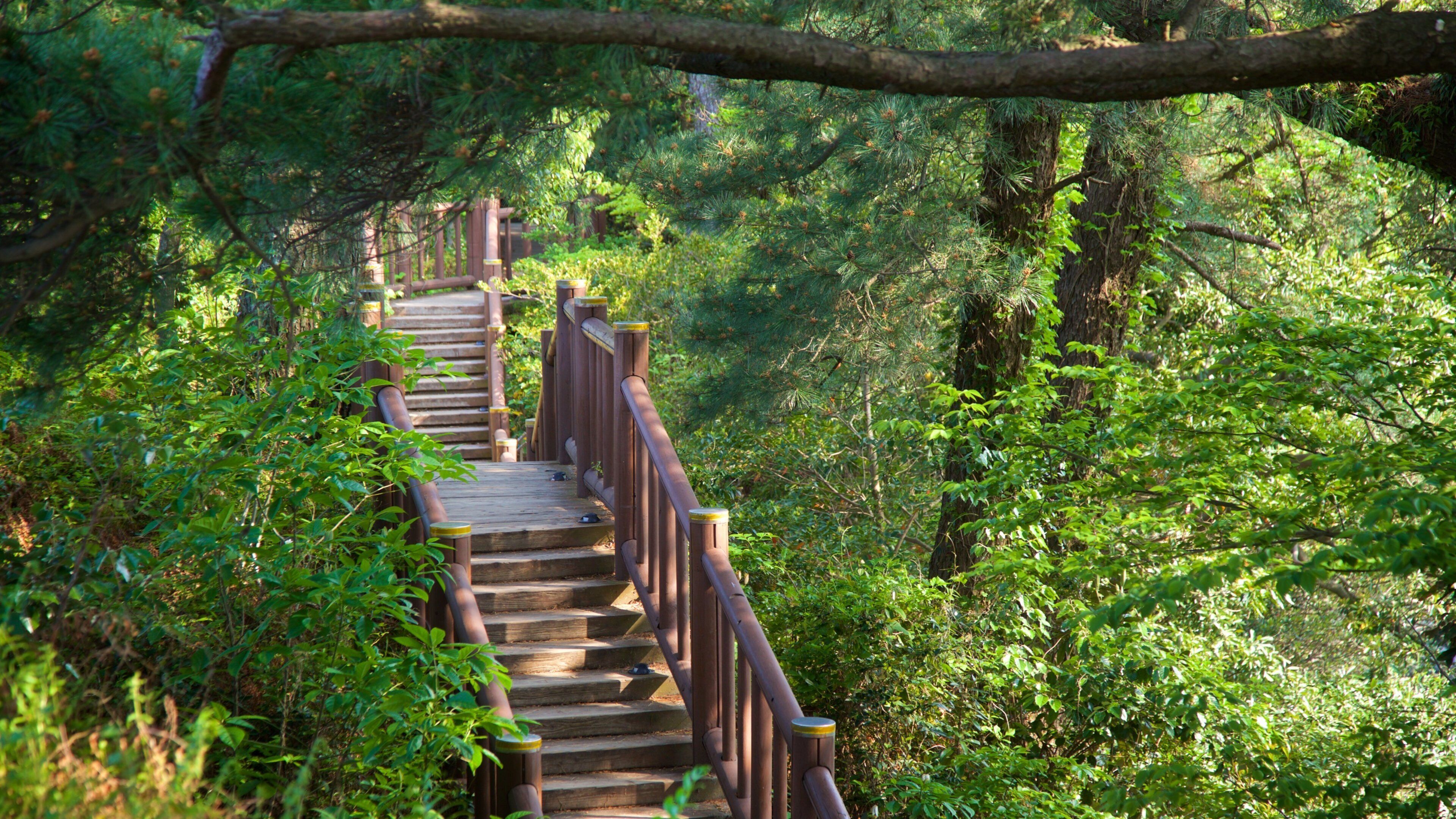 Soesokkak Estuary which includes forests