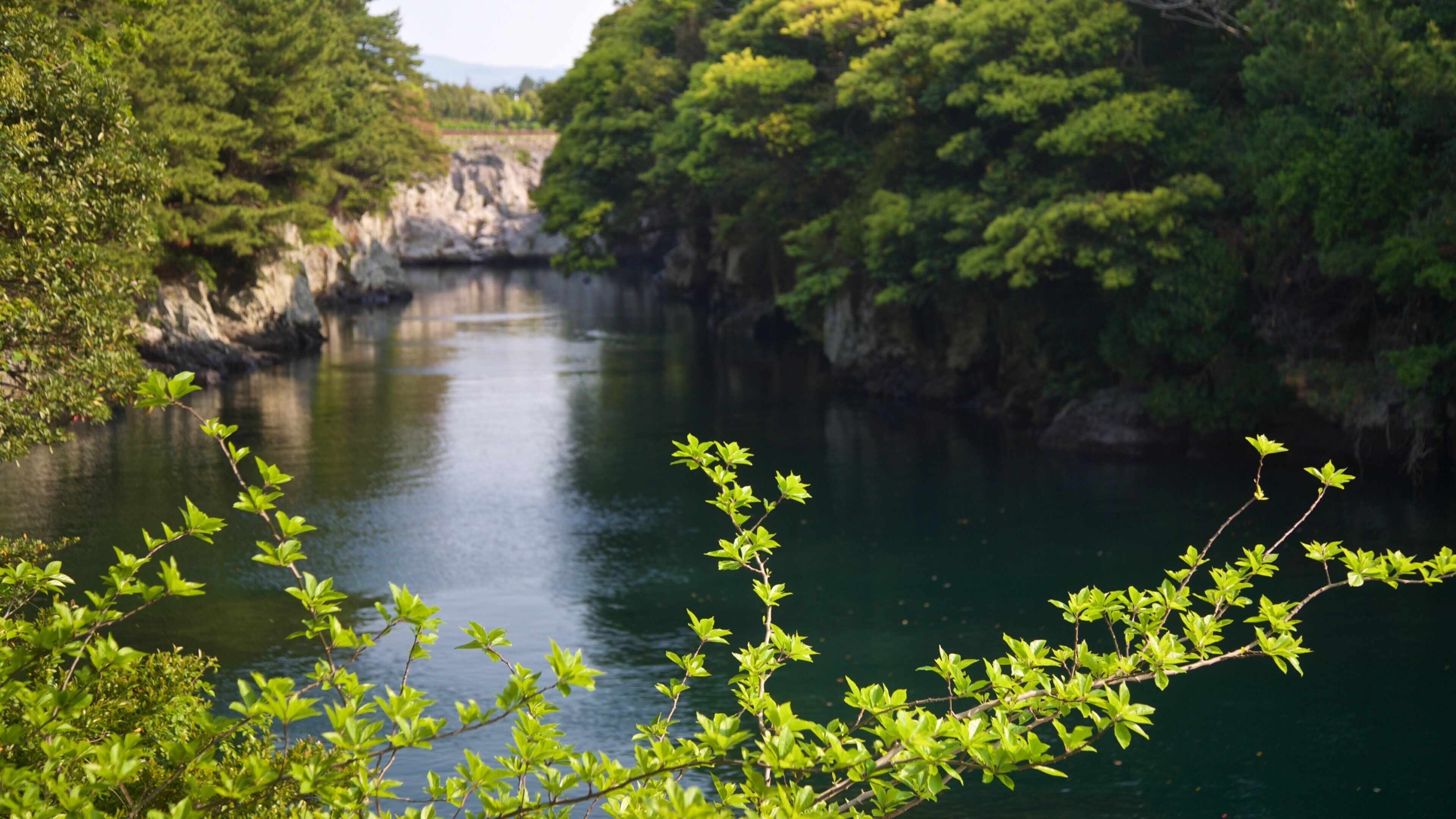 Soesokkak Estuary which includes a river or creek