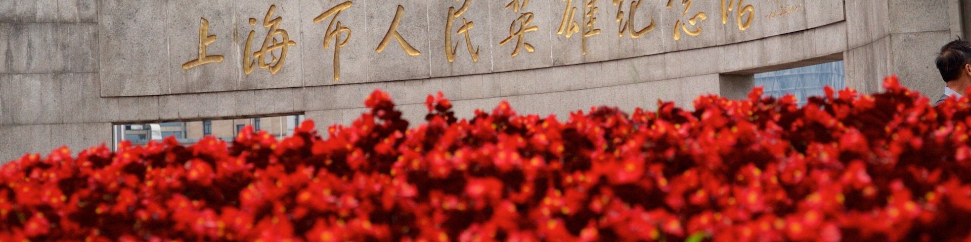Shanghai which includes flowers and signage