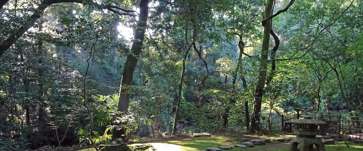 A forested area with a stone pathway, mossy grass, and a traditional stone lantern.