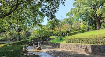 Kumamoto_MusashizukaPark_553248621532762769_04